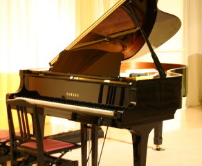 IMI Individual Piano Lessons Beginner-Grade3 2023-2024 Term3