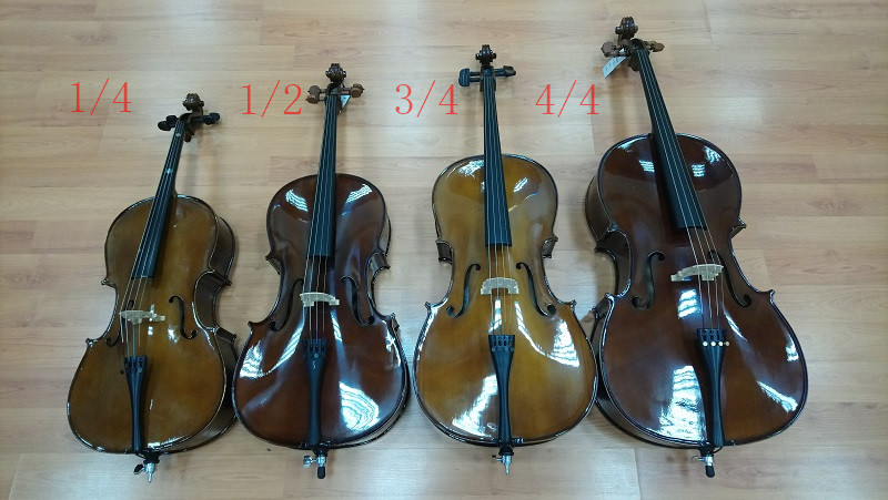Picture of 'Musicart Stentor Cello Rent 250 AED/Month (Minimum 3 months)'
