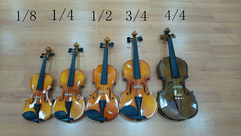 Picture of 'Musicart Stentor Violin Rent 120 AED/Month (Minimum 3 months)'